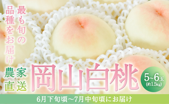 yRԔ֎sz 2026N s\ {   5`6ʓ 1.5kg p   R Ԕ֎sY Y t[c ʕ Mtg