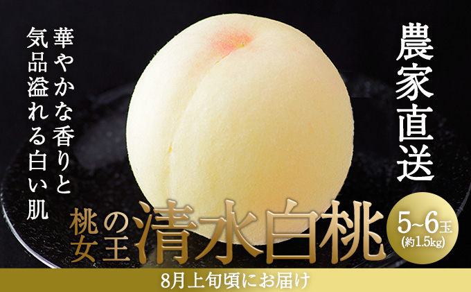 yRԔ֎sz 2026N s\   5`6ʓ(1.5kg) p   R Ԕ֎sY Y t[c ʕ Mtg