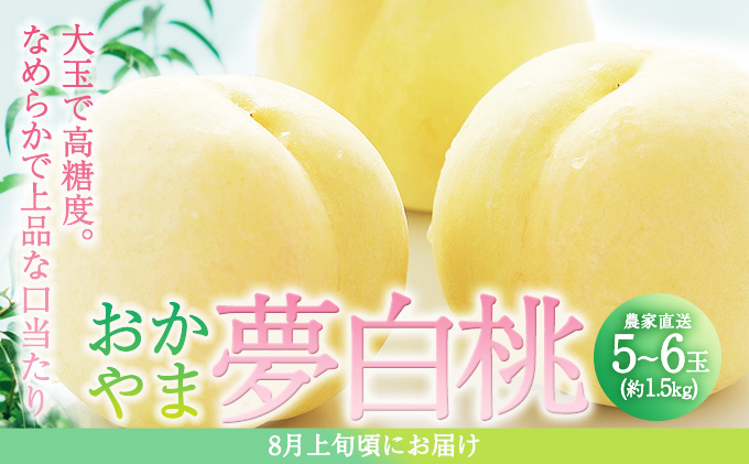 yRԔ֎sz 2026N s\    5`6ʓ(1.5kg) p   R Ԕ֎sY Y t[c ʕ Mtg