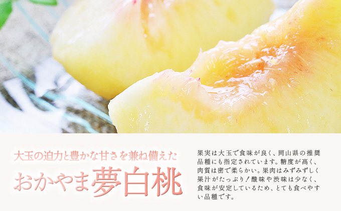 桃 2026年 先行予約 おかやま 夢 白桃 5～6玉入り(約1.5kg) 贈答用 もも モモ 岡山県 赤磐市産 国産 フルーツ 果物 ギフト 