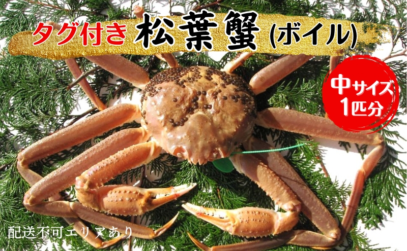 ys{{ÎszI ^Ot tI ({C) 1C[  Jj tKj ]