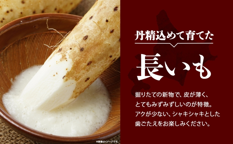 北海道産 長いも 秋冬出荷 約10kg 2025年11月中旬～2026年3月下旬お届け 長芋 ながいも とろろ 農作物 野菜 新鮮 根菜 新物 山かけ 産地直送 お取り寄せ 送料無料 冷蔵 北海道 洞爺湖町 