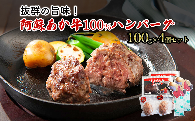 ハンバーグ セット 4個 阿蘇 あか牛 牛肉 100% 2p×2個 肉 お肉 にく 赤牛 配送不可：離島 