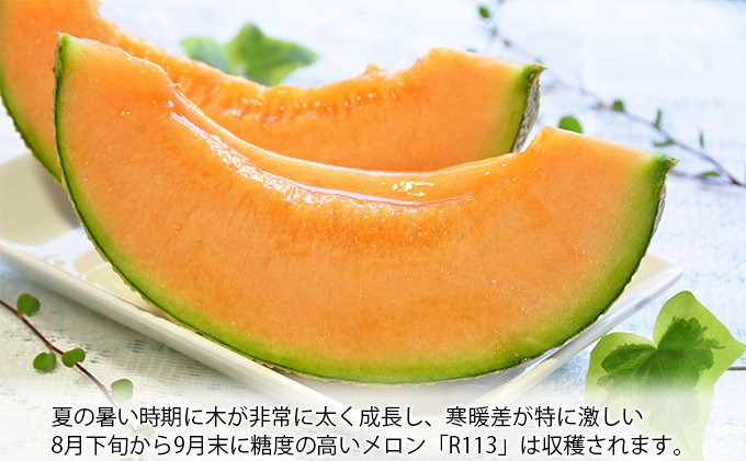 【2025年8月下旬より発送】北海道 富良野 メロン 赤肉 約1.8kg×2玉 メロン フルーツ 果物 新鮮 甘い 贈り物 ギフト 道産 ジューシー おやつ ふらの ブランド 夏  (吉田農園)