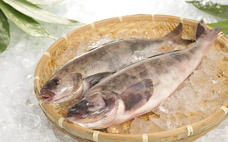 北海道枝幸町のふるさと納税 北海道 枝幸町 岩谷さん家の船の 肉厚 ホッケ フライ (1kg) 【 加工食品 白身フライ おかず 惣菜 お弁当 時短 揚げ物 夕飯 魚料理 北海道 オホーツク 枝幸 】