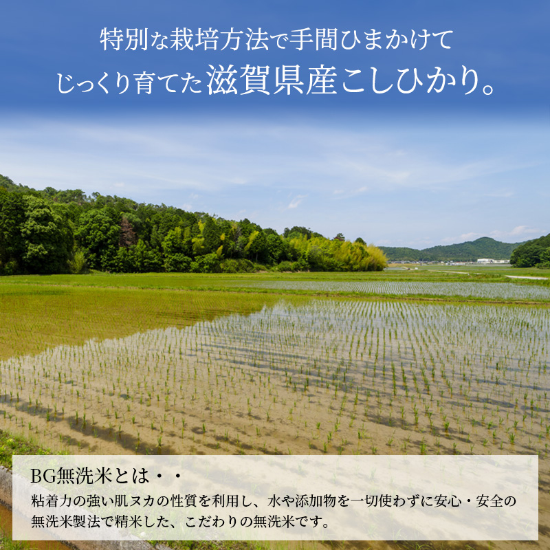滋賀県豊郷町のふるさと納税 【9月末までの限定価格】【令和7年産新米】【先行受付開始】滋賀県産こしひかり BG無洗米 5kg 無洗米 お米 コメ おこめ 白米 コシヒカリ 2025年10月より順次出荷開始 cp2509