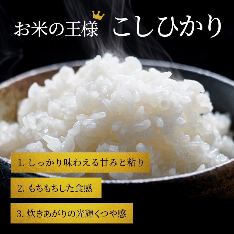 滋賀県豊郷町のふるさと納税 【9月末までの限定価格】【令和7年産新米】【先行受付開始】滋賀県産こしひかり BG無洗米 5kg 無洗米 お米 コメ おこめ 白米 コシヒカリ 2025年10月より順次出荷開始 cp2509