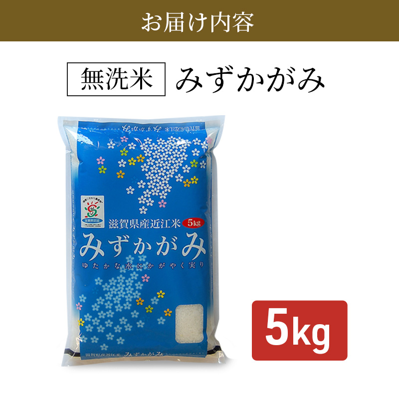 滋賀県豊郷町のふるさと納税 【9月末までの限定価格】【令和7年産新米】【先行受付開始】滋賀県産 みずかがみ BG無洗米 5kg お米 2025年9月下旬出荷開始 cp2509