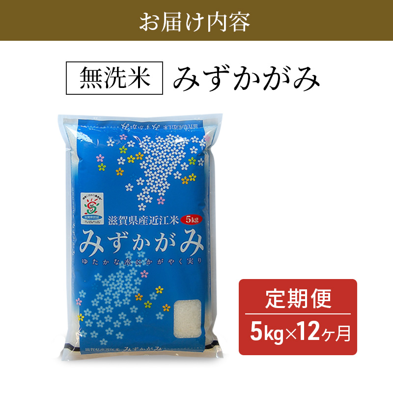 滋賀県豊郷町のふるさと納税 【令和7年産新米】【先行受付開始】滋賀県産 定期便 12ヶ月 みずかがみ BG無洗米 5kg ふるさと応援特別米 無洗米 お米 こめ コメ おこめ 白米 12回 お楽しみ