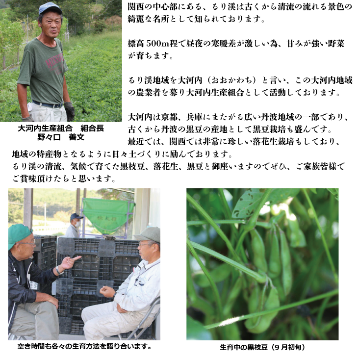 落花生 京都 2026年 先行予約 生落花生 るり渓 大河内生産組合発 丹波 野菜 国産 ピーナッツ おつまみ 先行 ※北海道・沖縄・離島への発送不可 