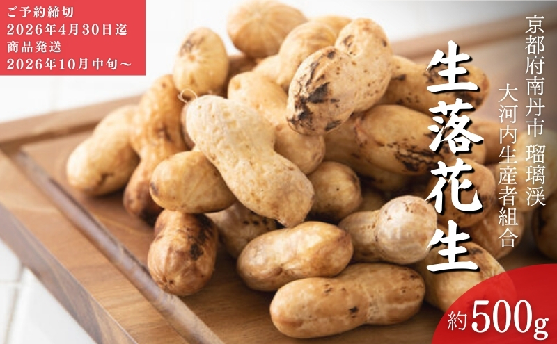 ys{OszԐ s 2026N s\ Ԑ k ͓Yg Og  Y s[ibc ܂ s kCEEւ̔s