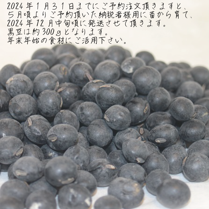 黒豆 京都 2026年 先行予約 丹波の黒豆 約300g るり渓 大河内生産組合発 丹波 野菜 国産 おやつ スイーツ 正月 おせち料理 おせち 先行 ※北海道・沖縄・離島への発送不可 