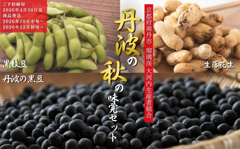 ys{Osz}  2 s 2026N s\ }o Ԑ  k ͓Yg Og s  y 2 kCEEւ̔s