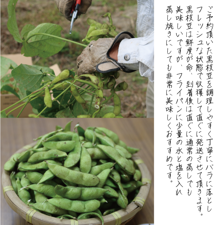 枝豆 定期便 2ヶ月 京都 2026年 先行予約 黒枝豆バラ 落花生 黒豆 るり渓 大河内生産組合発 丹波 先行 定期 お楽しみ 2回 ※北海道・沖縄・離島への発送不可 