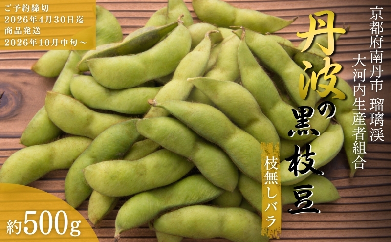 枝豆 京都 2026年 先行予約 丹波黒枝豆 バラ 約500g るり渓 大河内生産組合発 丹波 野菜 国産 生 黒枝豆 おつまみ えだまめ エダマメ 先行 ※北海道・沖縄・離島への発送不可 