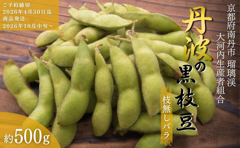 枝豆 京都 2026年 先行予約 丹波黒枝豆 バラ 約500g るり渓 大河内生産組合発 丹波 野菜 国産 生 黒枝豆 おつまみ えだまめ エダマメ 先行 ※北海道・沖縄・離島への発送不可 