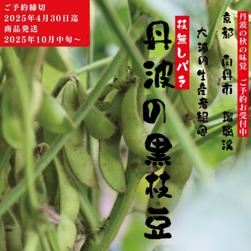 【京都府南丹市】枝豆 京都 2026年 先行予約 丹波黒枝豆 バラ 約500g るり渓 大河内生産組合発 丹波 野菜 国産 生 黒枝豆 おつまみ えだまめ エダマメ 先行 ※北海道・沖縄・離島への発送不可