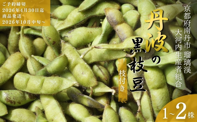 ys{Osz} s 2026N s\ Og̎}t} k ͓Yg Og  Y  } ܂ ܂ G_} s kCEEւ̔s