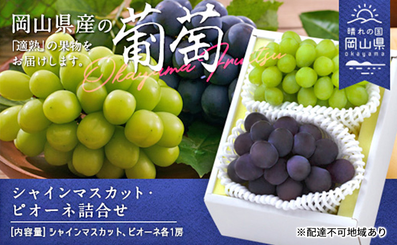 【岡山県玉野市】ぶどう 2026年 先行予約 果物 詰合せ シャイン マスカット 1房 ニュー ピオーネ 1房 合計約1.0kg ブドウ 葡萄 岡山県産 国産 フルーツ 果物 ギフト