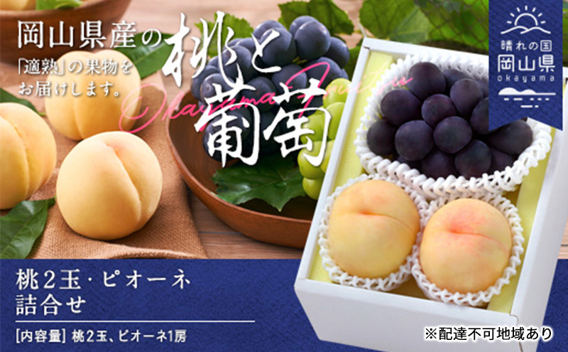【岡山県玉野市】桃 ぶどう 2026年 先行予約 果物 詰合せ 白桃 晩生種 2玉 ニュー ピオーネ 1房 合計約1.0kg もも 葡萄 岡山県産 国産 フルーツ 果物 ギフト
