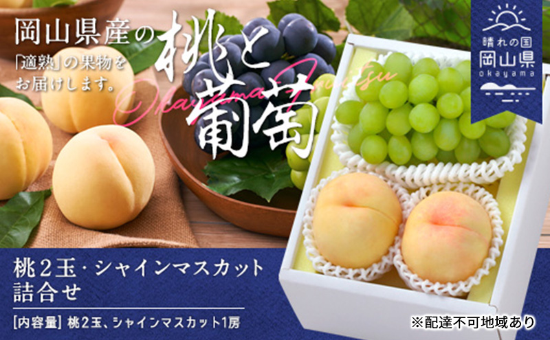 【岡山県玉野市】桃 ぶどう 2026年 白桃 晩生種 2玉 シャイン マスカット 1房 合計約1.0kg もも 葡萄 岡山県産 国産 フルーツ 果物 ギフト