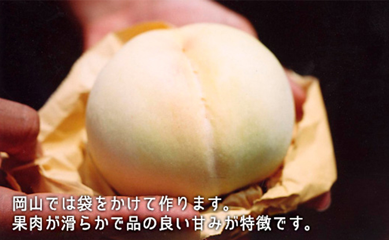 桃 ぶどう 2026年 白桃 晩生種 2玉 シャイン マスカット 1房 合計約1.0kg もも 葡萄 岡山県産 国産 フルーツ 果物 ギフト