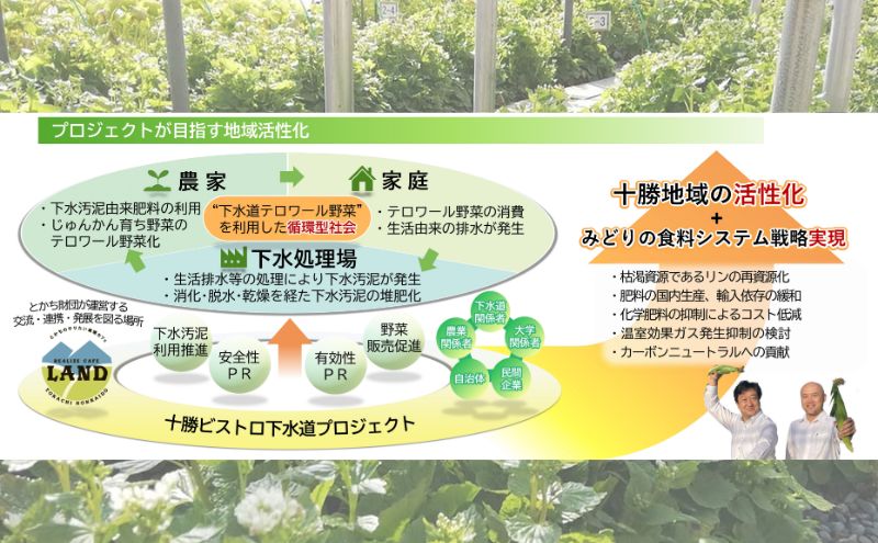 北海道幕別町のふるさと納税 とうもろこし 恵味ゴールド 10本「じゅんかん育ち」【十勝BISTRO下水道プロジェクト】北海道 十勝 幕別町 野菜