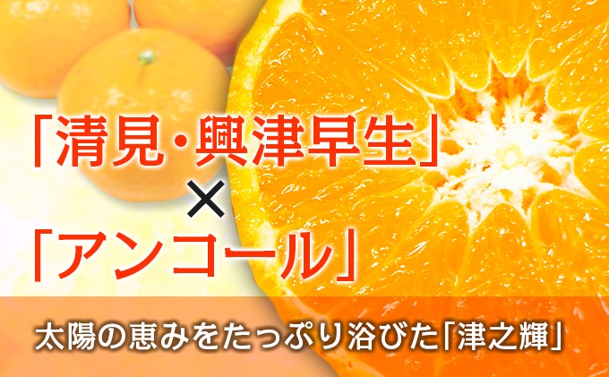宮崎県日南市のふるさと納税 先行予約 津之輝 つのかがやき 2kg以上 (2kg×1箱) 希少 期間限定 数量限定 フルーツ 果物 くだもの 柑橘 みかん 令和8年発送 国産 食品 おすすめ デザート おやつ みかんジュース フルーツサンド ギフト 贈り物 贈答 おすそ分け 宮崎県 日南市 送料無料_A79-23