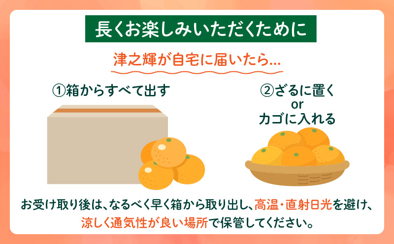 宮崎県日南市のふるさと納税 先行予約 津之輝 つのかがやき 2kg以上 (2kg×1箱) 希少 期間限定 数量限定 フルーツ 果物 くだもの 柑橘 みかん 令和8年発送 国産 食品 おすすめ デザート おやつ みかんジュース フルーツサンド ギフト 贈り物 贈答 おすそ分け 宮崎県 日南市 送料無料_A79-23