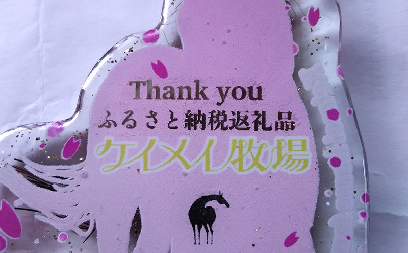 馬 たてがみ 尻尾 手作り レジン キーホルダー １個(トントントントロ) オリジナル 