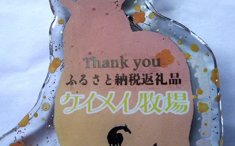 馬 たてがみ 尻尾 手作り レジン キーホルダー １個(グラマー) オリジナル 