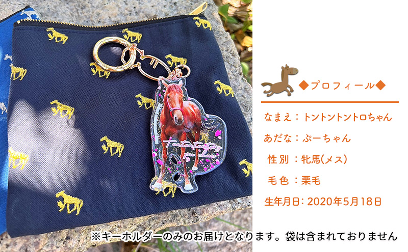 馬 たてがみ 尻尾 手作り レジン キーホルダー ２個(トントントントロ＆グラマー) オリジナル 