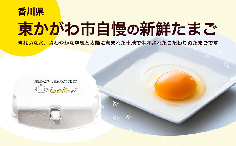 東かがわ市のたまご「鶏卵Mサイズ（10個×3P）」 新鮮卵 卵料理 食材 料理 調理 グルメ 玉子かけご飯 TKG 