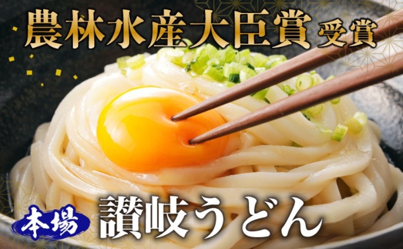 人気店の【お試し讃岐うどん】半生麺2～3人前×2袋（ダシ付） 麺類 手打ちうどん 手打ち讃岐うどん グルメ