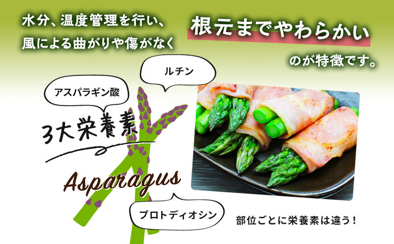 【数量限定・2026年4月初旬頃～発送】富良野 益田農園産 極太 グリーンアスパラガス ≪M～3L混合≫ 約500g アスパラ 北海道 富良野市 緑アスパラ 野菜 とれたて 朝採り 限定 数量限定 (益田農園)
