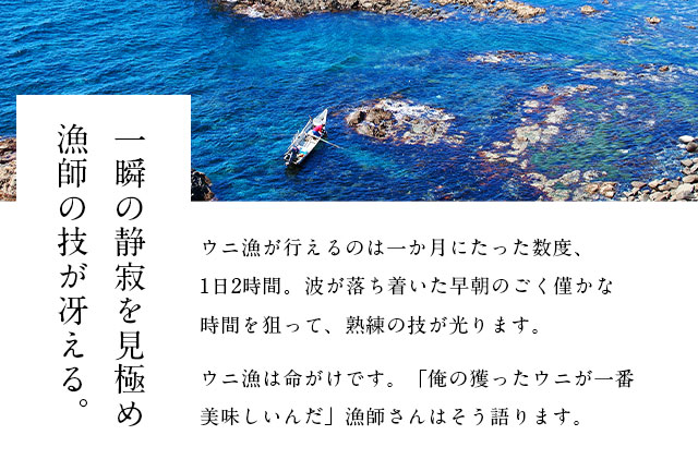 北海道礼文島産　旬凍ウニ食べ比べセット（80g×各2個） 魚貝類 海の幸 海鮮 北海道産 つまみ うに丼 手巻き寿司 濃厚 甘み とろける エゾバフンウニ 旨み キタムラサキウニ 