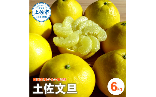 【高知県土佐市】『南国高知からの贈り物』土佐文旦 6kg 6キロ 文旦 期間限定 数量限定 ぶんたん ブンタン 柑橘 みかん 果物 果肉 フルーツ 甘い 美味しい プリプリ 食感 旬 ギフト お取り寄せ