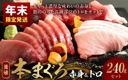 【和歌山県有田郡湯浅町】AZ6014n_nm_【年末限定発送】本マグロ (養殖) 赤身 & トロ セット 240g