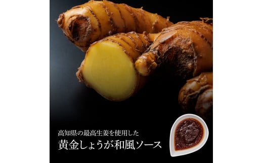 CDM016　 1/1～寄附額変更 食べ比べ！天日塩ハンバーグ3種セット各3個(110g×3種) 合計9個 ハンバーグ 黒毛和牛 美鮮豚 天然塩 天日塩 デミグラスソース 和風ソース ソース付き 牛肉 豚肉 温めるだけ 冷凍 配送 国産 故郷納税 