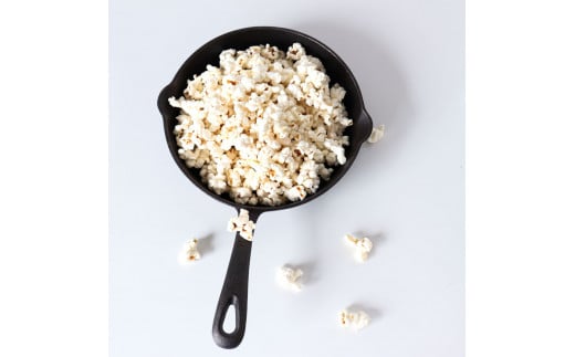 昭和香る高知のお菓子8種セット ポップコーン マック セット 詰め合わせ マックのポップコーン お菓子 塩 キャラメル カレー バター醤油 駄菓子 おやつ おつまみ おうち時間 映画 人気