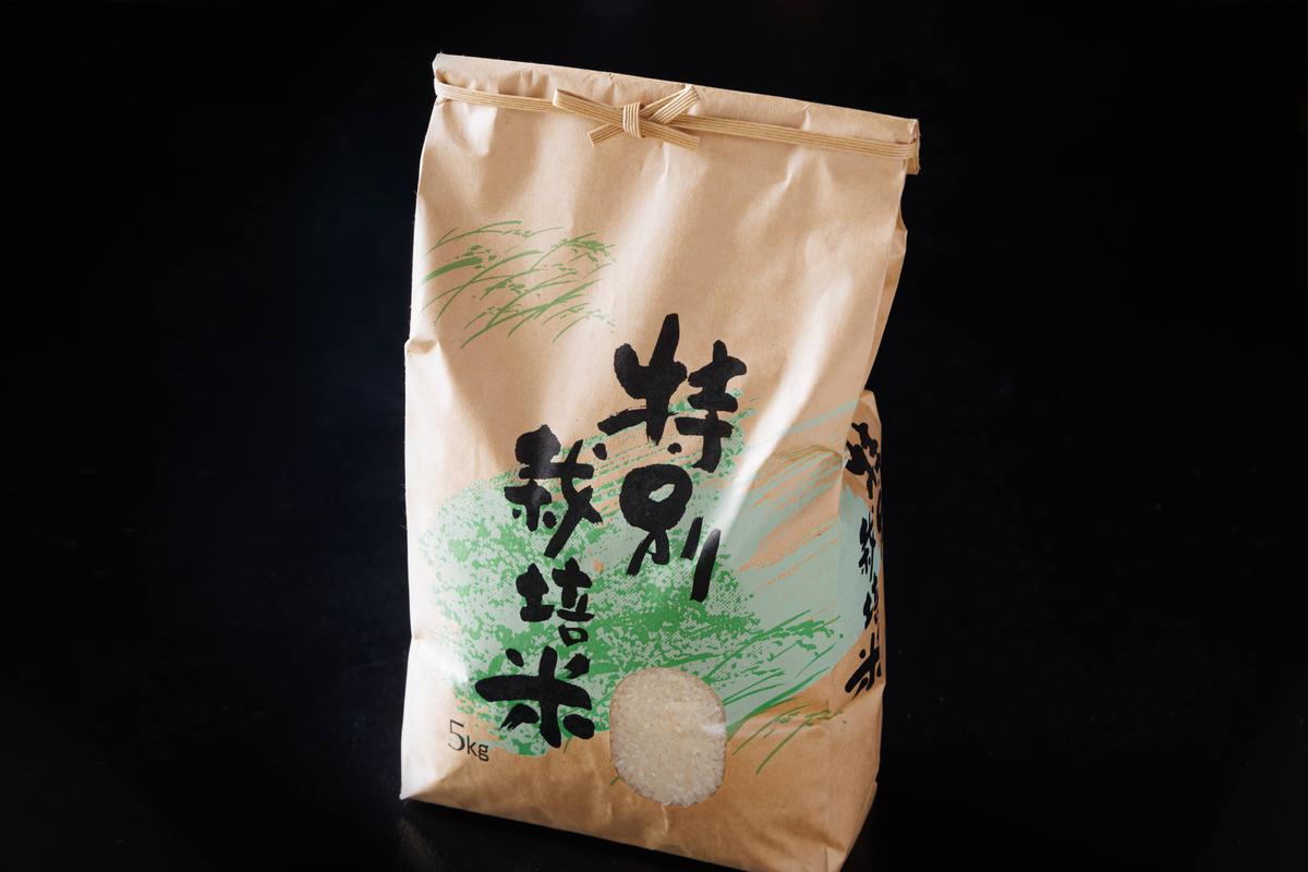 【令和6年度新米】 料理旅館きぐすりや 特別栽培米 キヌヒカリ 10kg 精米 白米 お米 こめ コメ 減農薬栽培 10キロ 5kg×2 ご飯 ごはん 京都　※9月下旬より順次発送 
