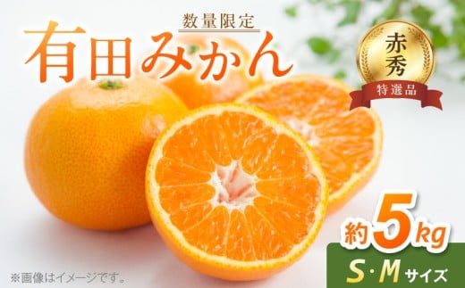 BF6005n_【数量限定】【赤秀特選品】有田みかん S, Мサイズ 約5kg