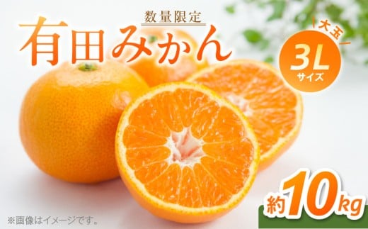 ya̎RLcS󒬁zBF6012n_yʌz Lc݂  3LTCY 10kg y~J  k B݂ Lc݂ a̎Rz