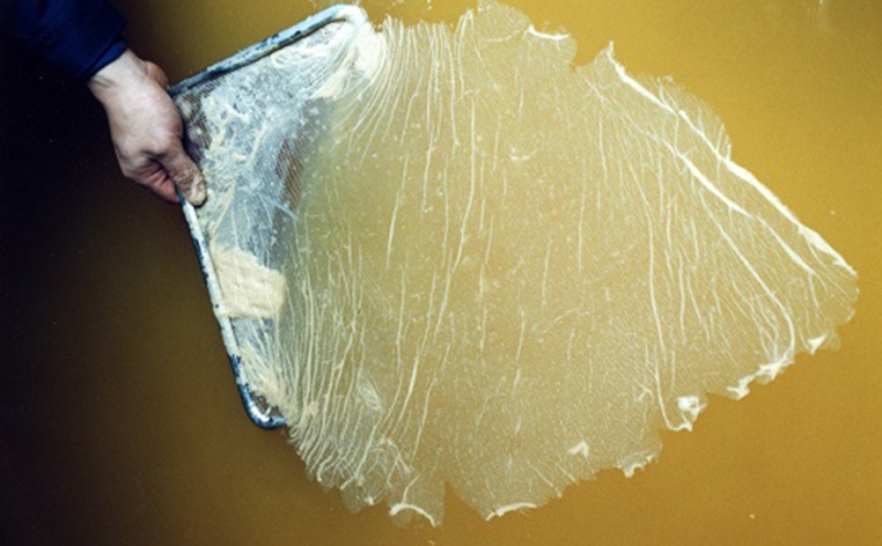 富士手巻きすし酢 360ml×2本セット[ 飯尾醸造 すし酢 手巻き寿司 ]