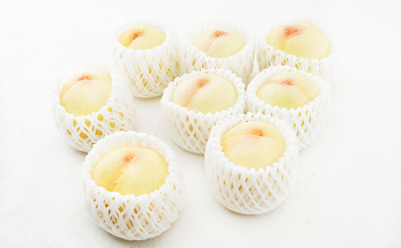 桃 定期便 2026年 先行予約 岡山 の 白桃 8玉 合計1.7kg以上×2回 お届け 化粧箱入り もも モモ 岡山産 国産 フルーツ 果物 ギフト 