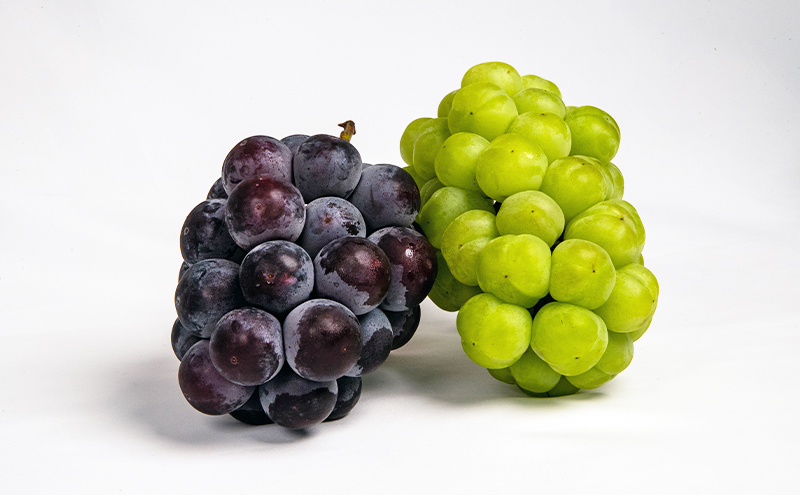 ぶどう 梨 定期便 2026年 先行予約 フルーツ王国 岡山を堪能 4回コース 秋・冬物語 葡萄 ぶどう 梨 なし 岡山県産 国産 果物 セット ギフト 