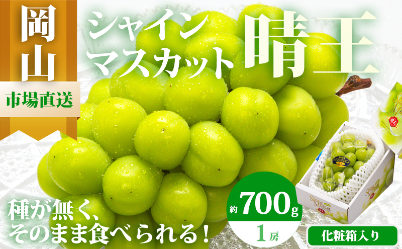 yRʖszԂǂ 2026N s\ VC }XJbg  1[ 700gȏ ϔ }XJbg uhE  RY Y t[c ʕ Mtg ʕ