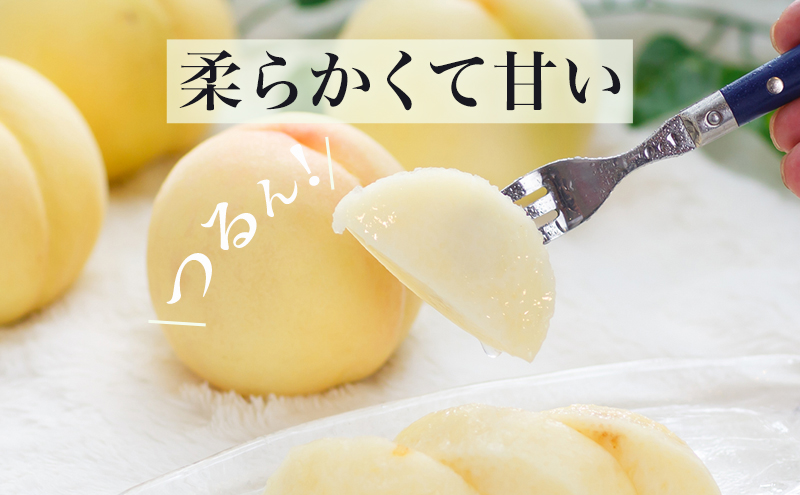 桃 2026年 先行予約 岡山 の 白桃 8玉（合計1.7kg以上）化粧箱入り もも モモ 岡山県産 国産 フルーツ 果物 ギフト 
