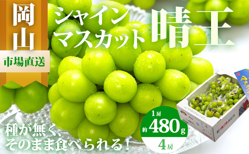 yRʖszԂǂ 2026N s\ VC }XJbg  4[i1[480gȏj2kg }XJbg uhE  RY Y t[c ʕ Mtg ʕ Ԃǂ