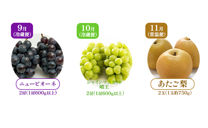 ぶどう 梨 定期便 2025年 先行予約 フルーツ王国 岡山を堪能 定期便 3回コース 葡萄 ぶどう 梨 なし 岡山県産 国産 果物 セット ギフト 